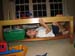 SD800-03970